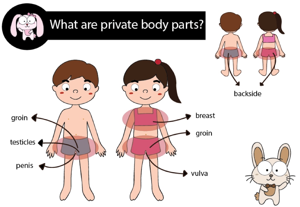به کودک بیاموزید که بعضی از اعضای بدن خصوصی هستند