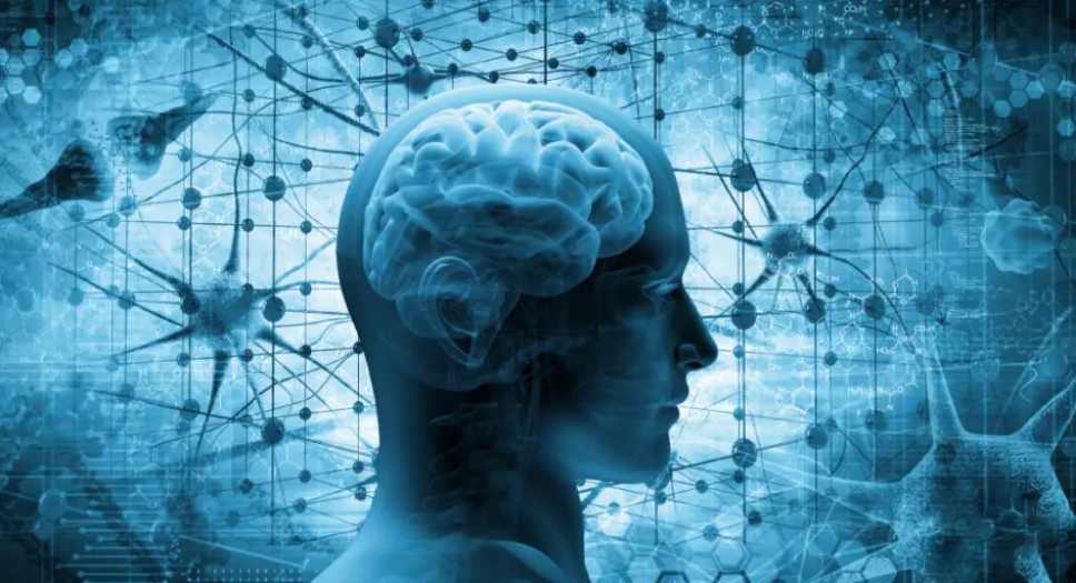 انواع تست های عصب شناختی