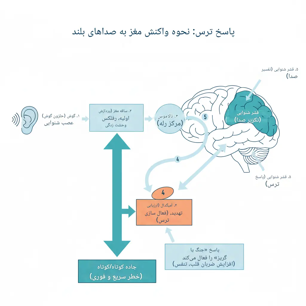 ترس شدید از صدای بلند